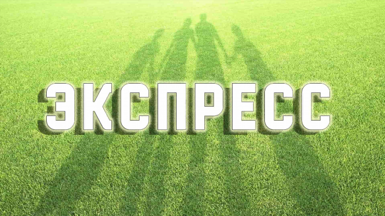 Экспресс на ставках