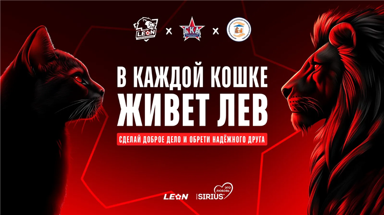 Леон букмекерская контора телефон горячей линии