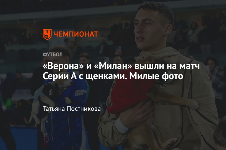 Милан верона статистика