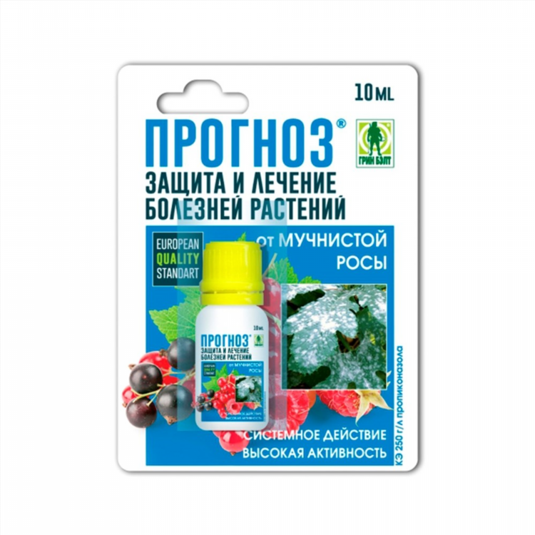 Платные прогнозы на спорт с гарантией