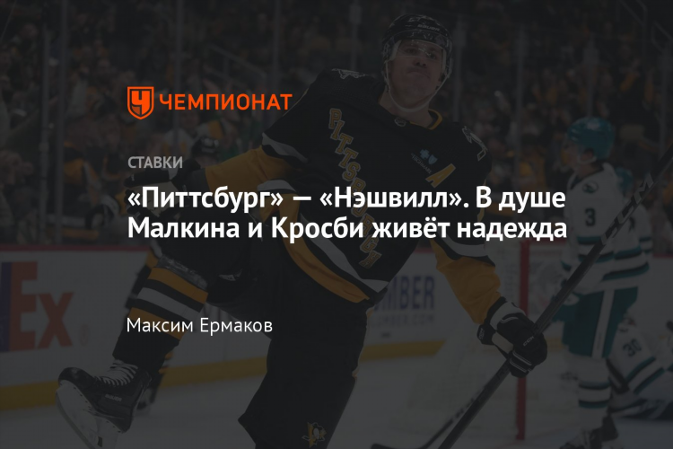 Прогноз нхл сегодня от экспертов бесплатно